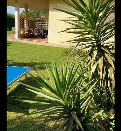 Green Garden Viareggio Buitenkant foto