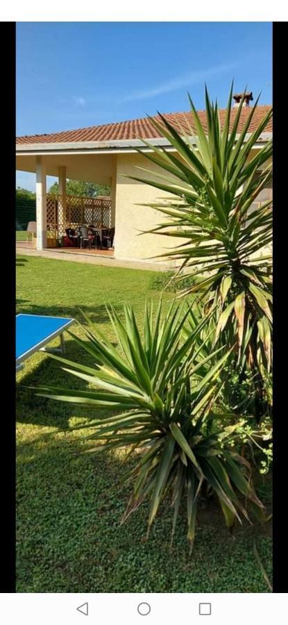 Green Garden Viareggio Buitenkant foto